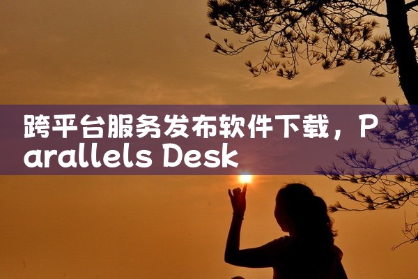跨平台服务发布软件下载