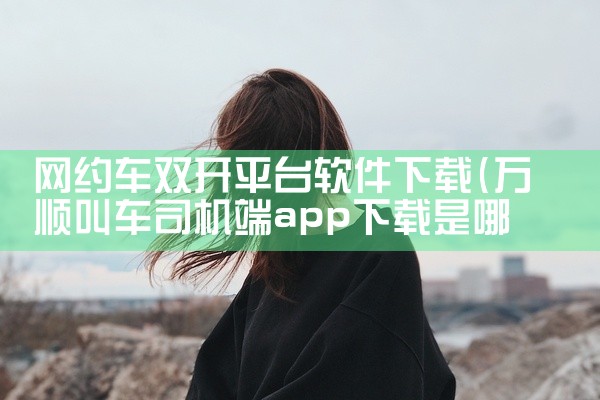 网约车双开平台软件下载