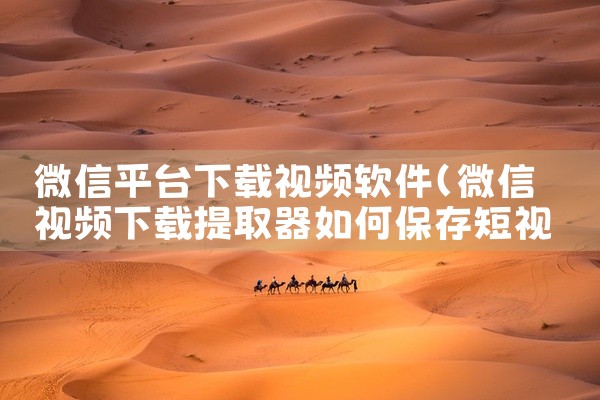 微信平台下载视频软件