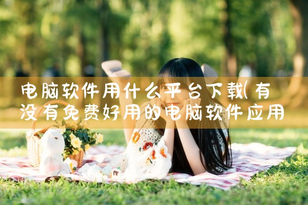 电脑软件用什么平台下载