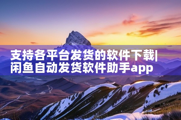 支持各平台发货的软件下载