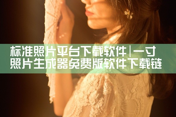 标准照片平台下载软件