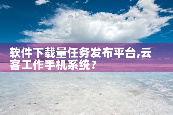 软件下载量任务发布平台