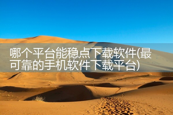 哪个平台能稳点下载软件